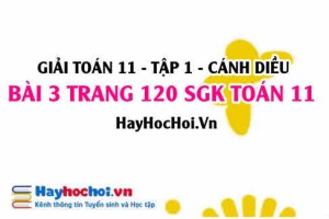 Giải bài 3 trang 120 Toán 11 tập 1 SGK Cánh Diều